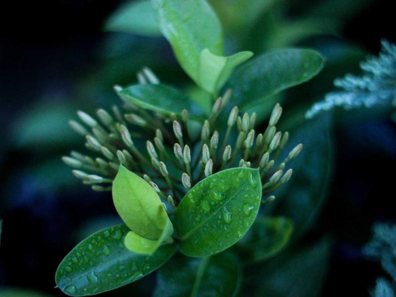 蓬皮杜中心<br>gitbuvf.cn 高技派五脏六腑